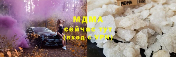 хмурый Арсеньев