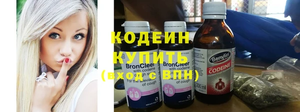 хмурый Арсеньев