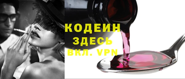 хмурый Арсеньев