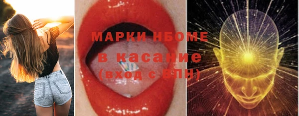 хмурый Арсеньев