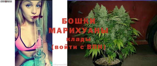 хмурый Арсеньев